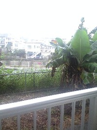 雨 2010/11/07 13:52:21