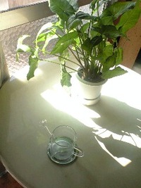 良い天気ですね 2010/12/09 11:16:23