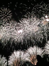 花火 2011/04/17 22:58:25