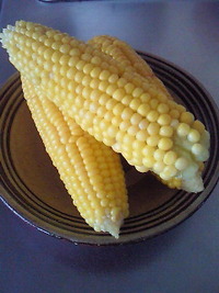 きれいなきいろ。 2009/09/12 09:42:20