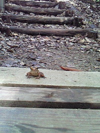 ふらふら？ 2010/03/17 10:47:53