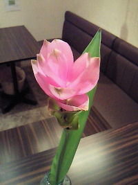 だ～れだ☆ 2009/10/08 23:00:46