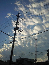 どうか明日まで 2009/10/16 17:52:36