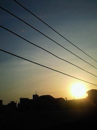 今日も・・・ 2009/10/20 07:17:49