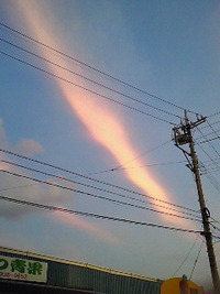 そ～いえば・・・ 2009/11/05 09:55:25