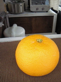 心地よい週末 2010/03/01 10:31:13