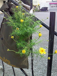 暑過ぎ 2010/03/05 19:08:09
