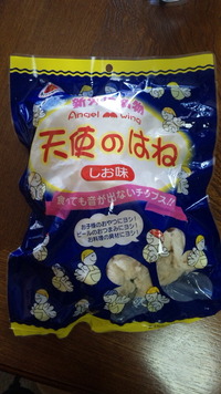 天使の羽 2009/09/15 15:22:24