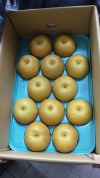 梨　梨　梨 2009/09/12 21:24:27