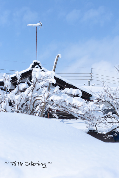 プチベールの温サラダと大雪