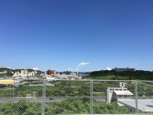 だるま屋