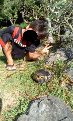 桑江公園でザリガニ