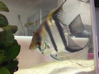 m(__)m 2013/07/20 21:25:07