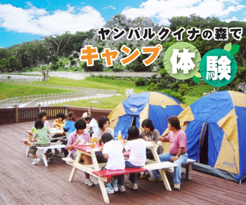 ヤンバルクイナの森でキャンプ体験【2013山遊びツアー】
