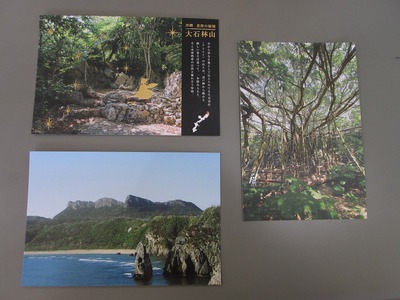 沖縄石の文化博物館監修者による展示解説