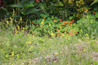 花の春、旅立ちの春 2016/03/21 21:13:44