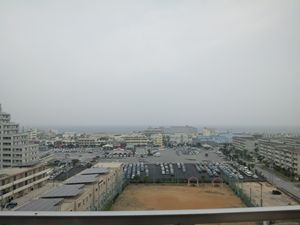 検査と進捗