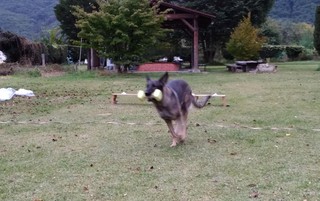 午後からもお勉強頑張りました。