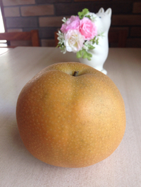 みずみずしい梨 2015/09/13 17:20:06
