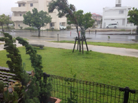 台風9号 2015/07/10 16:41:00
