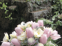 第７回 花の展覧会 2013/04/18 12:30:00