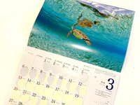 2022年OKINAWA美ら海カレンダー入荷してます！