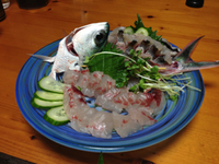 グルクン！ 2013/07/15 21:48:32