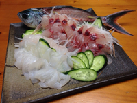 アーガイの寿司 2014/03/21 15:11:19