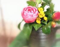 説明会のお知らせ