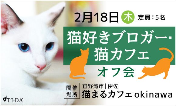 【参加者募集】2/18（木）猫好きブロガー・猫カフェオフ会を開催します！