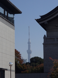 国立博物館と東京スカイツリーと国宝展の混雑