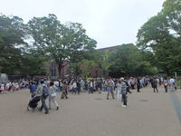 東京都美術館の「若冲展」はすごい混雑です