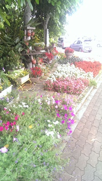 早速、投票行って来ました！(^-^)/ 2014/04/27 09:56:30