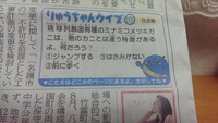 前に歩くカニ♪(^ー^) 2014/05/24 06:22:53