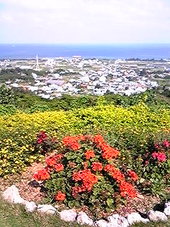 久しぶりの絶景！