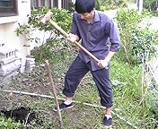 夏だ！海だ！！ゴーヤーだ！！！ 2011/07/08 17:43:35