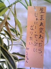明日は七夕☆ 2011/07/06 16:56:10