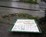 台風嫌い。 2011/08/06 12:21:18
