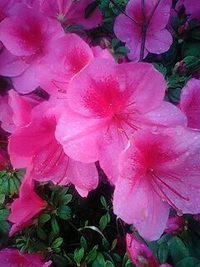 言葉の力 2009/03/20 08:18:50