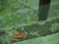 セコムしてますか？ 2011/09/29 17:00:25