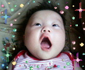 本日は､定休日です。 2011/07/12 11:33:00