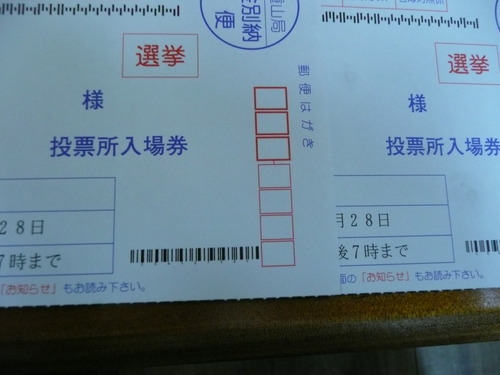 投票
