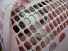 動物病院