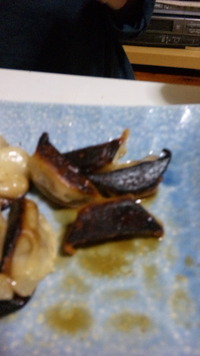 未確認夕食物体 2009/12/07 06:11:42