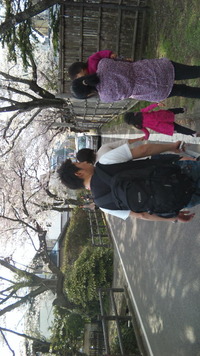 まさかの桜と温泉 2010/05/02 18:24:25