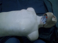ＣＰＲ・ＡＥＤ講習 2011/03/07 18:07:33