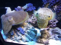 バラシが続いてます・・ 2010/10/03 11:20:11