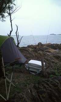 雨です… 2010/05/28 17:34:53