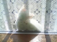 フヒヒヒっと笑った金曜 2009/07/17 20:13:50
