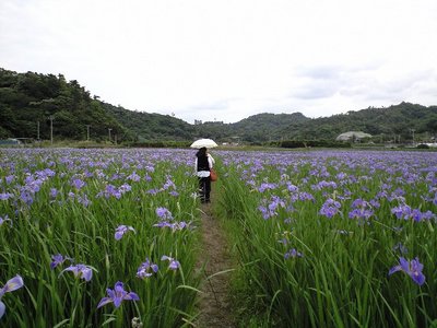 巨匠と花畑